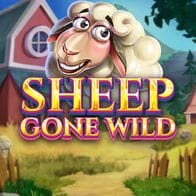 Sheep Gone Wild game icon